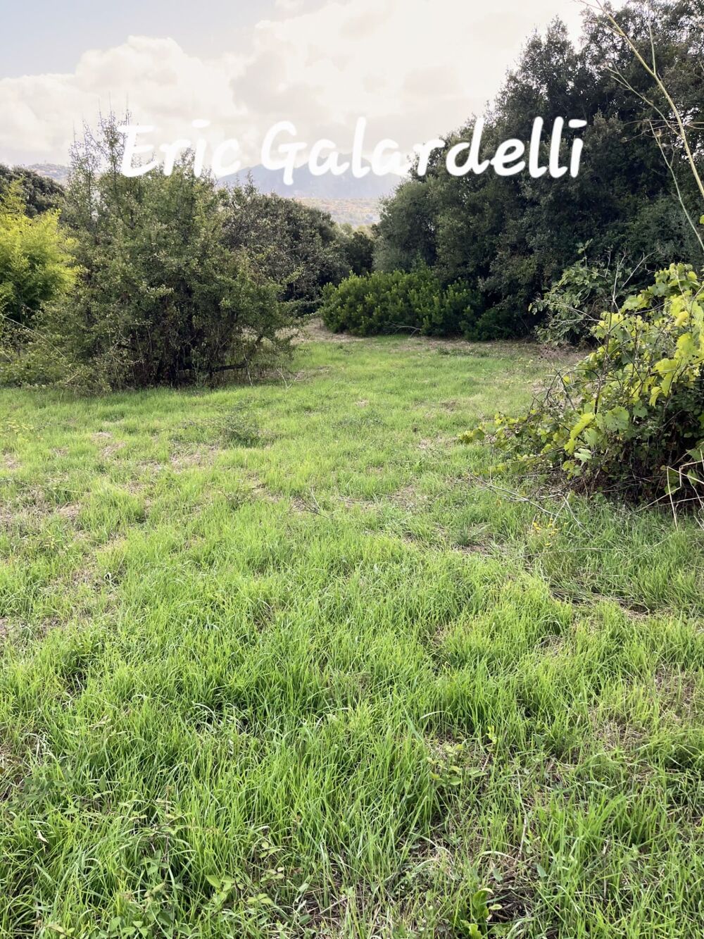 Vente Terrain Terrain à vendre Exclusif– Terrain à bâtir arboré  de 2 000 m² avec vue mer  OLMETO (20) Olmeto