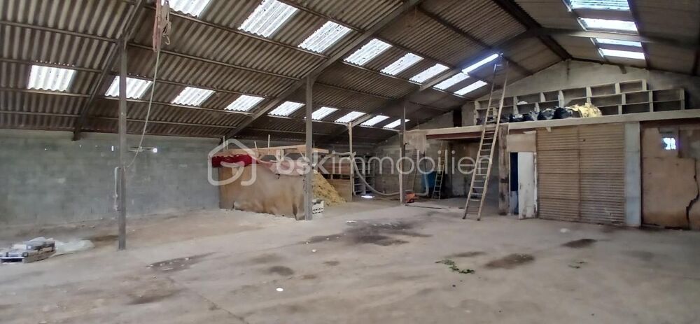 Vente Parking/Garage Hangar métallique Loire sur nie