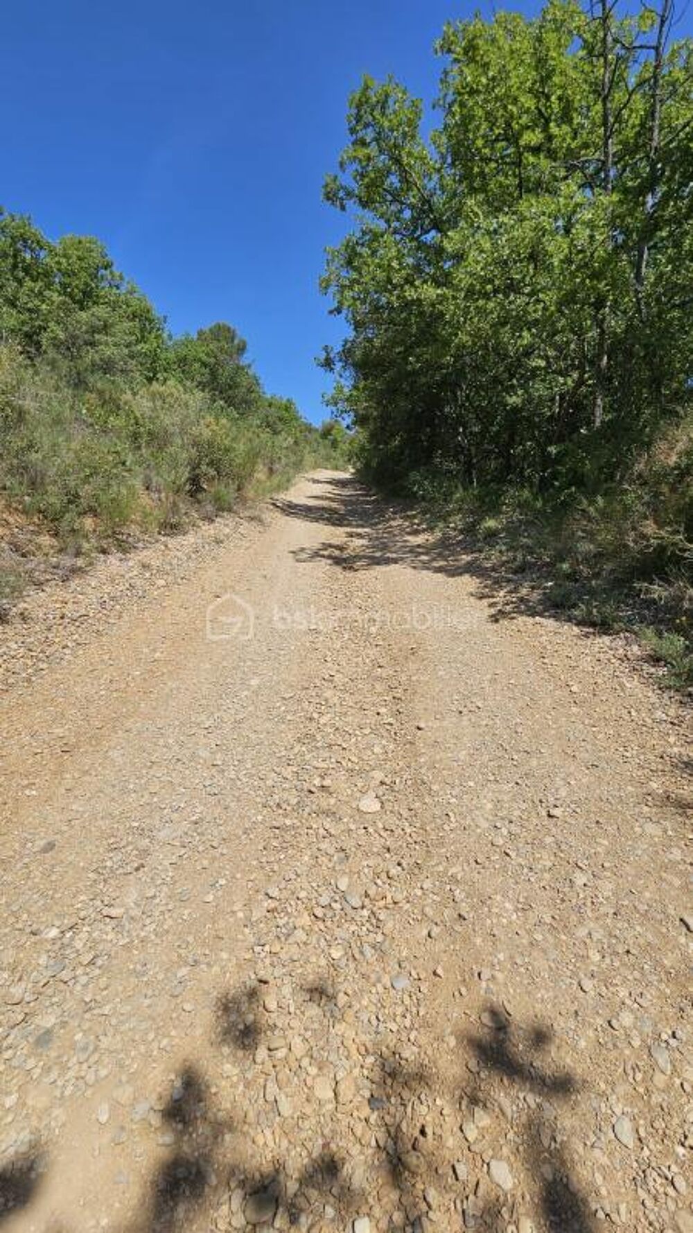 Vente Terrain TERRAIN NON CONSTRUCTIBLE - BRUNET 04210 Brunet