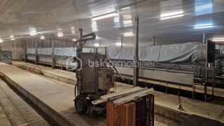  Immeuble � vendre 1 pi�ce 630 m�