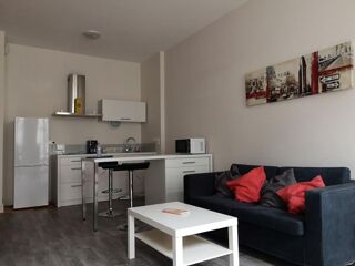  Appartement à louer 1 pièce 40 m²