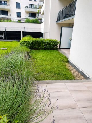  Appartement à louer 1 pièce 22 m²