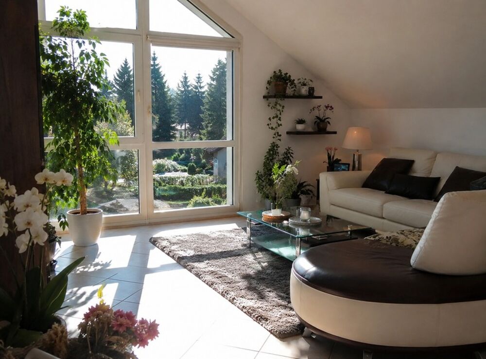 Vente Immeuble Immeuble à vendre EPINAL (88) IMMEUBLE/ MAISON contenant 2 APPARTEMENTS avec GARAGE  1168 m2 de TERRAIN Epinal