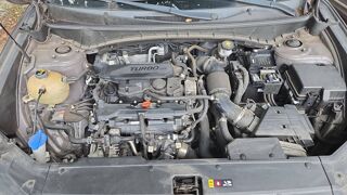 Tucson 1.6 T-GDI 150 Mild Hybrid Premium 2021 occasion 97228 Sainte Luce