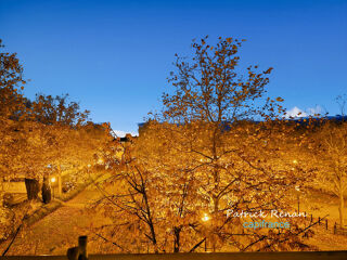  Appartement � vendre 4 pi�ces 87 m�