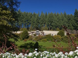  Propri�t�/ch�teau � vendre 15 + pi�ces 450 m�