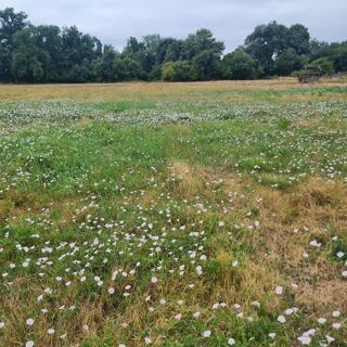  Terrain � vendre 1616 m�