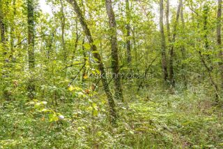  Terrain � vendre 9702 m�