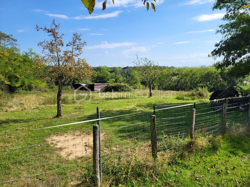 Vente Maison A saisir Ensemble immobilier de rapport avec terrain de 16300 m² Nogaro