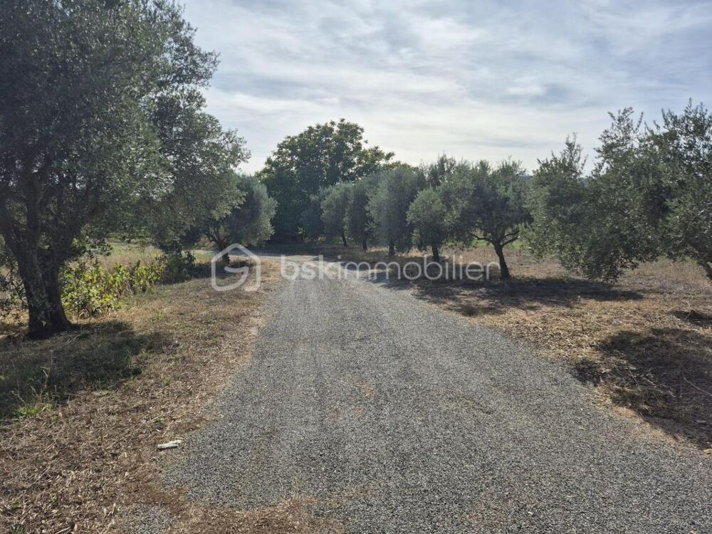 Vente Maison Maison T4 de 120m²  + garage au cœur des vignes Pierrefeu du var
