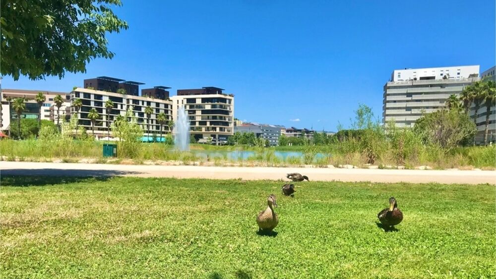 Dpt Hérault (34), à vendre MONTPELLIER appartement T2