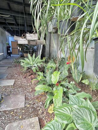  Maison � vendre 3 pi�ces 150 m�