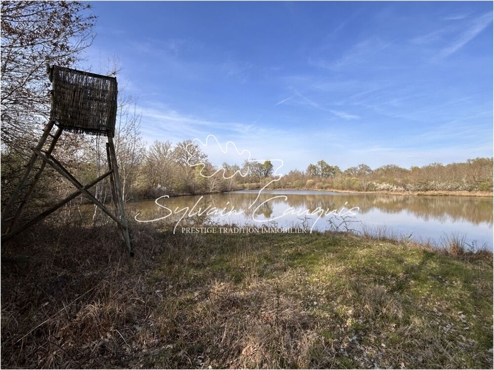 � vendre  Propri�t�/ch�teau Cerdon (45620)