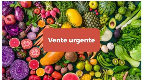 Alimentation 59500 69001 Lyon