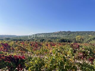  Terrain  vendre 45000 m