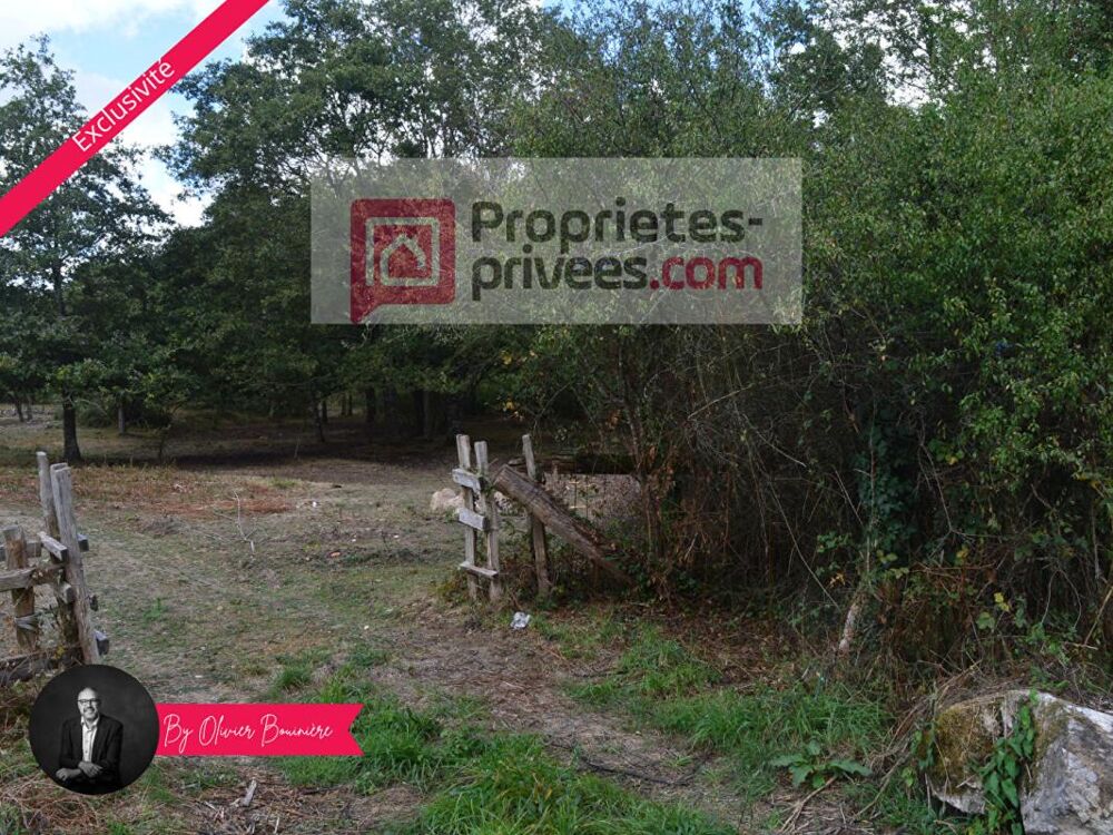 Vente Terrain Terrain boisé de 30 000 m² Sainte reine de bretagne