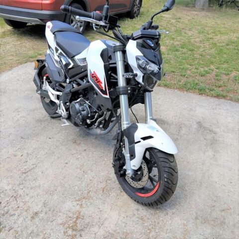 BENELLI 2023 occasion 16500 Lessac