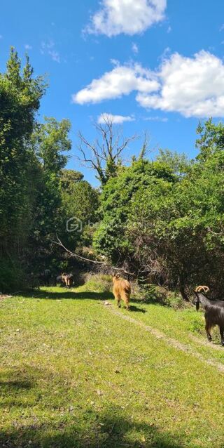  Maison � vendre 4 pi�ces 87 m�