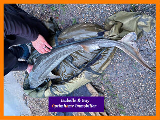  Propri�t�/ch�teau � vendre 3 pi�ces 88 m�