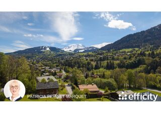  Chalet à vendre 12 pièces 243 m²
