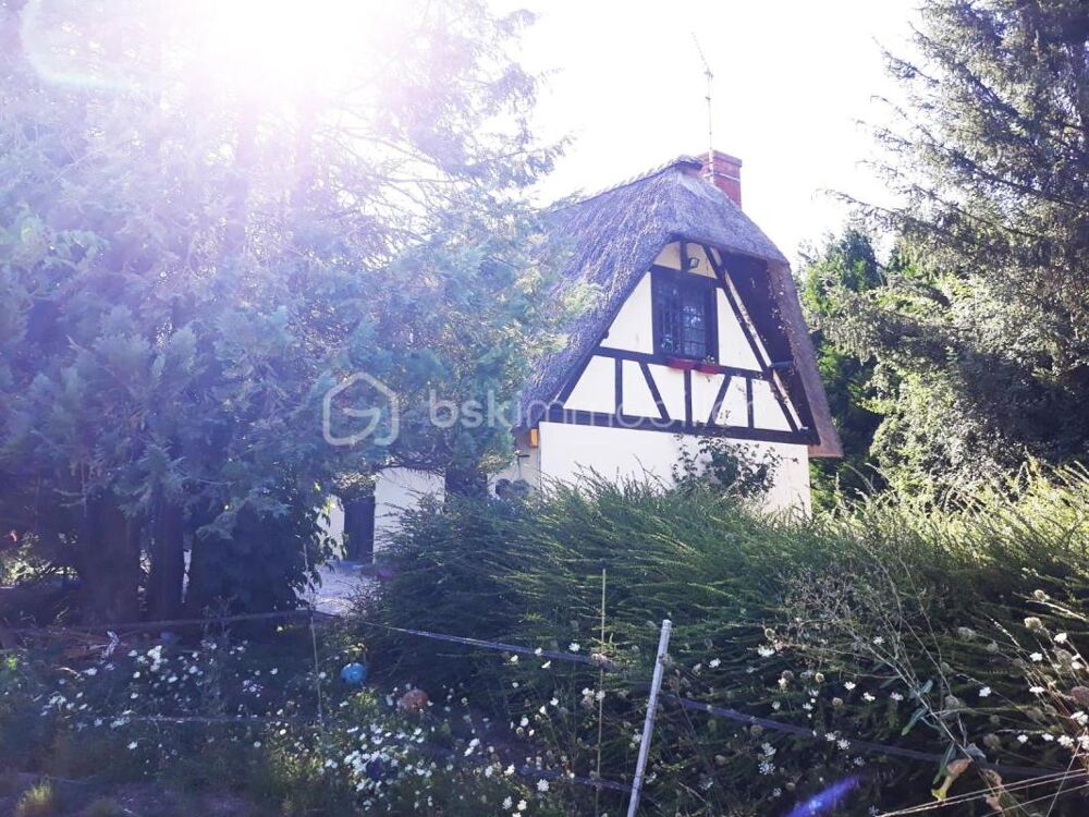 CHATENAY SUR SEINE - CHAUMIERE A RENOVER SUR UN TERRAIN DE 4000 M²
