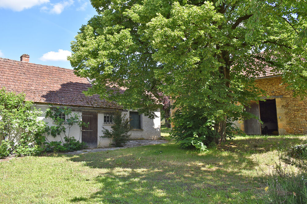 Vente Maison corps de ferme Aubas 5 pièce(s) 95 m2 Aubas