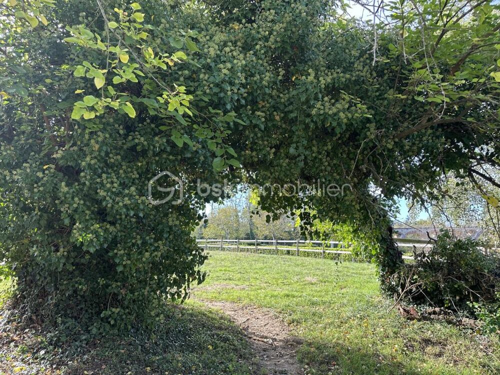 Vente Propriété/Château PROPRIETE EQUESTRE DE 10 HECTARES Toulouse