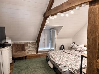  Propriété/château à vendre 13 pièces 380 m²
