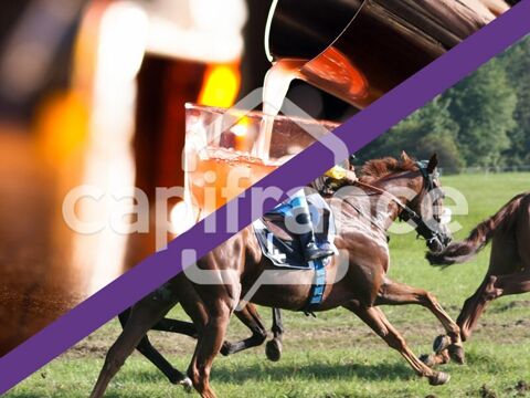 Dpt Vend&eacute;e (85), &agrave; vendre proche la roche sur yon  Bar PMU 112000 85280 La ferriere