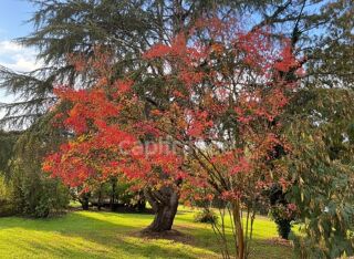  Propri�t�/ch�teau � vendre 9 pi�ces 254 m�