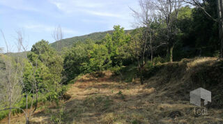  Terrain  vendre 6500 m