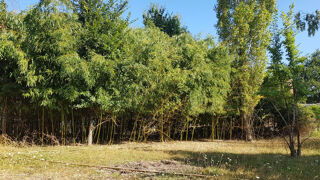  Terrain � vendre 784 m�