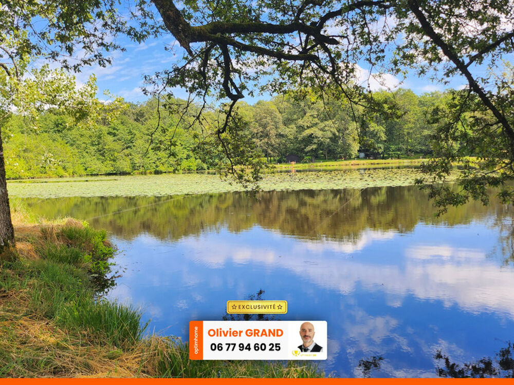 Vente Terrain ETANG + TERRAIN DE LOISIR + FORET DE CHENES - PROCHE CENTRE-BOURG Oradour sur glane