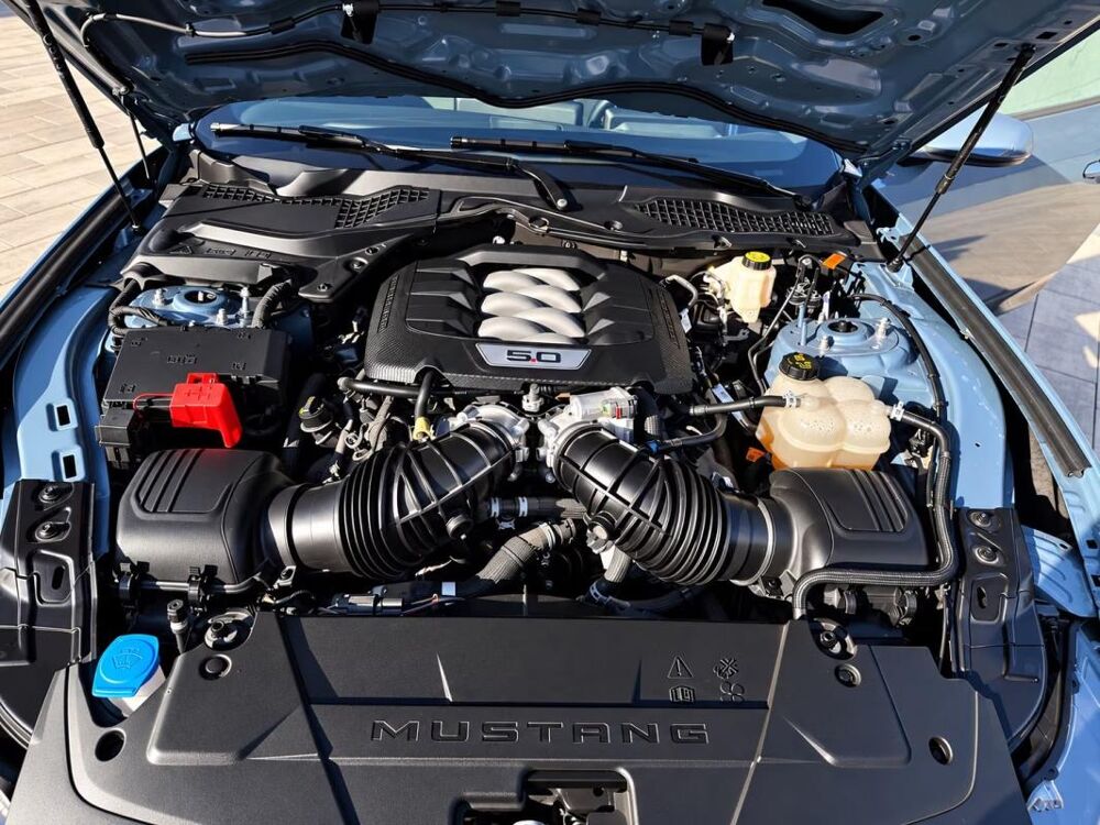 Mustang 5.0 V8 Dark Horse – Pr&eacute;paration Exclusive 2025 occasion 33000 Bordeaux