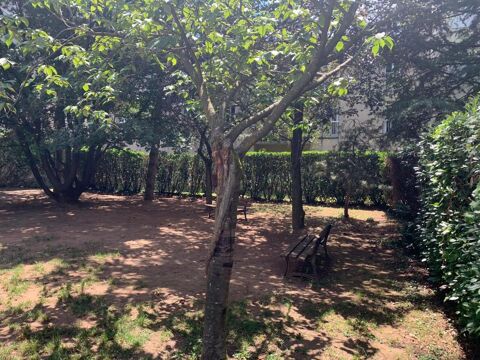  Appartement � louer 2 pi�ces 55 m�