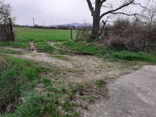  Terrain à vendre 23055 m²