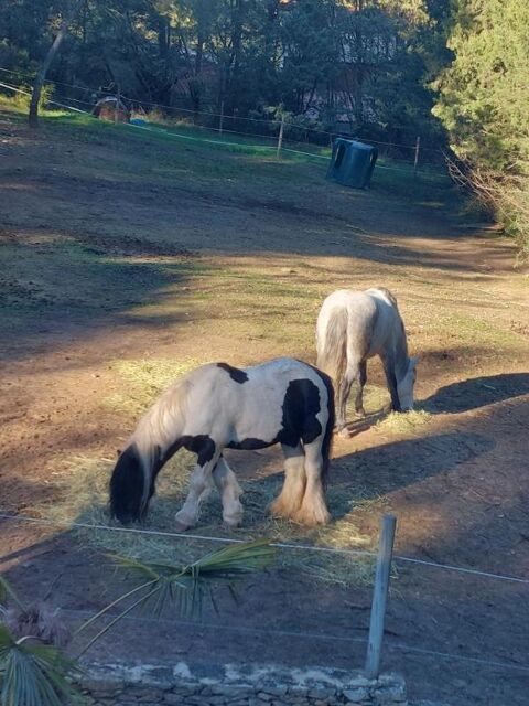  Maison  louer 5 pices 176 m