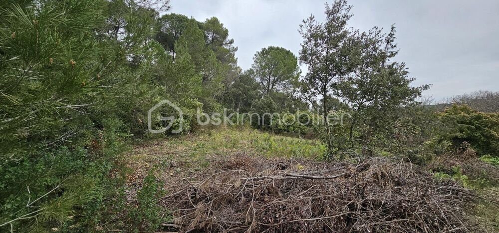Vente Terrain Terrain sur la commune de Villevieille – Zone AA Villevieille