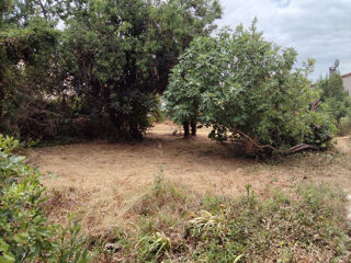  Terrain  vendre 445 m