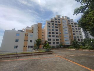  Appartement � louer 1 pi�ce 26 m�