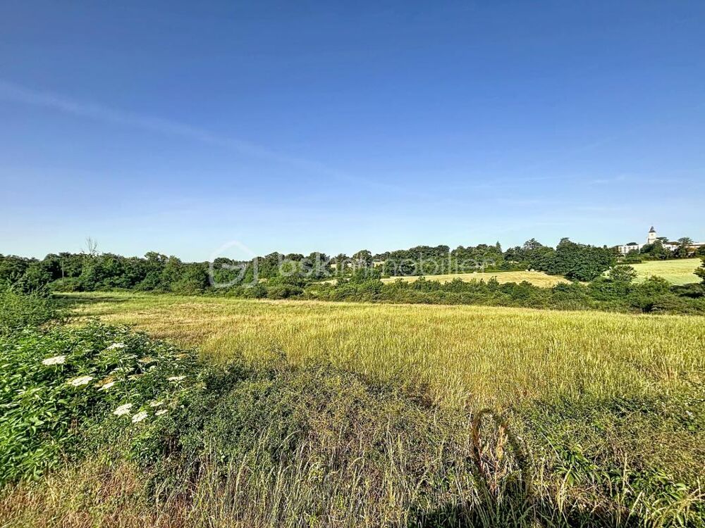 Vente Terrain Parcelles agricoles Faye l abbesse