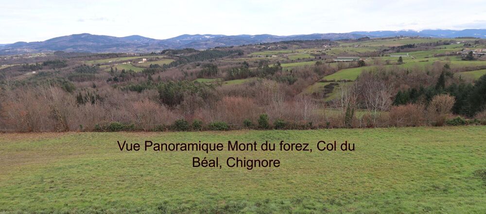 Maison Sauviat 5 pièce(s) 90 m2 environs + garage et 7000m2 de terrain dont 3000 constructibles