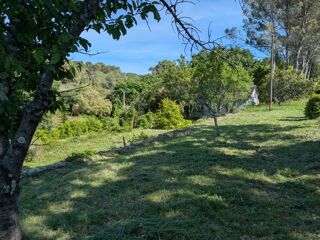  Terrain à vendre 1249 m²