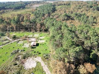 Terrain - 35648 m²