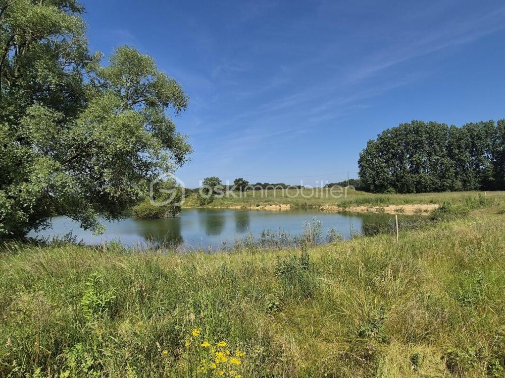 Longère à la campagne avec étang et 4 hectares