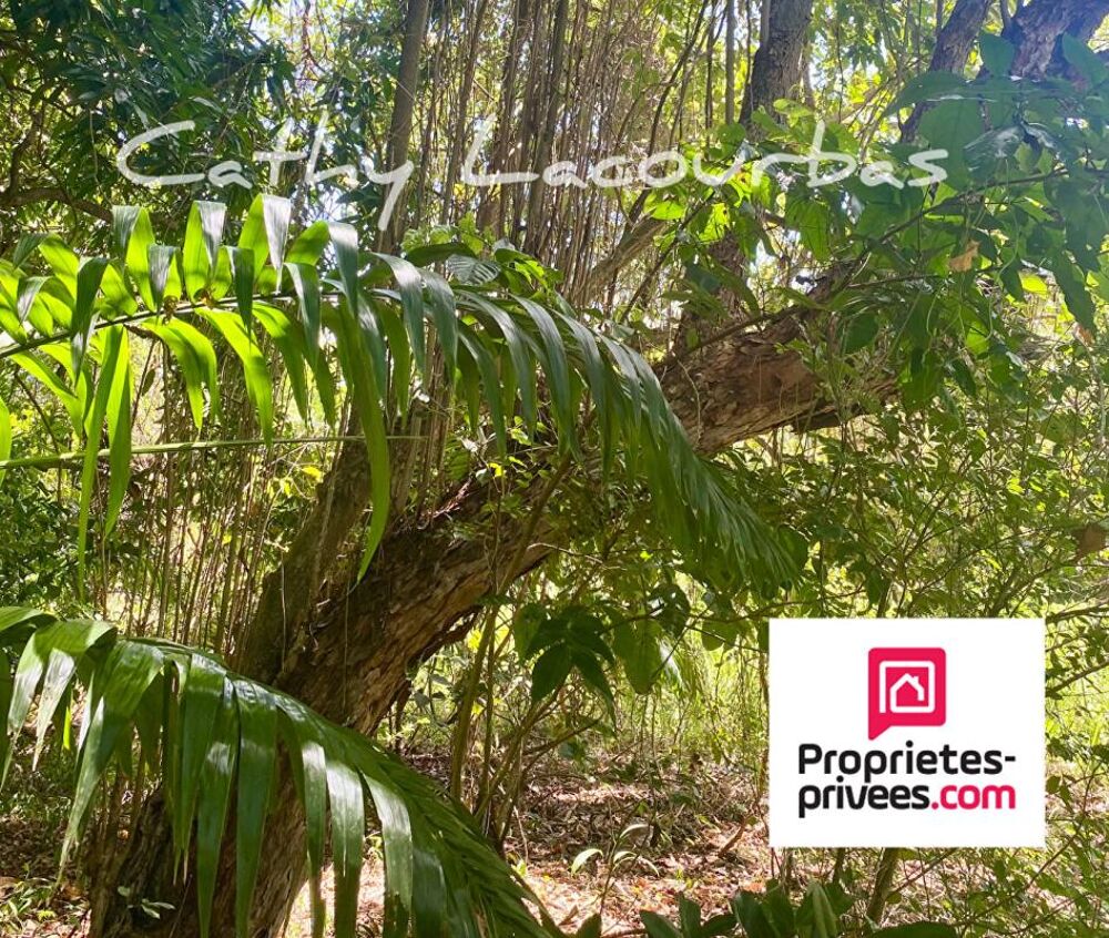 Vente Terrain Terrain 4000 m2 accès littoral -Pointe Noire, Guadeloupe Pointe noire