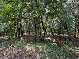  Terrain � vendre 799 m�
