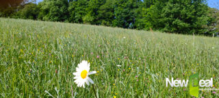  Terrain à vendre 2500 m²