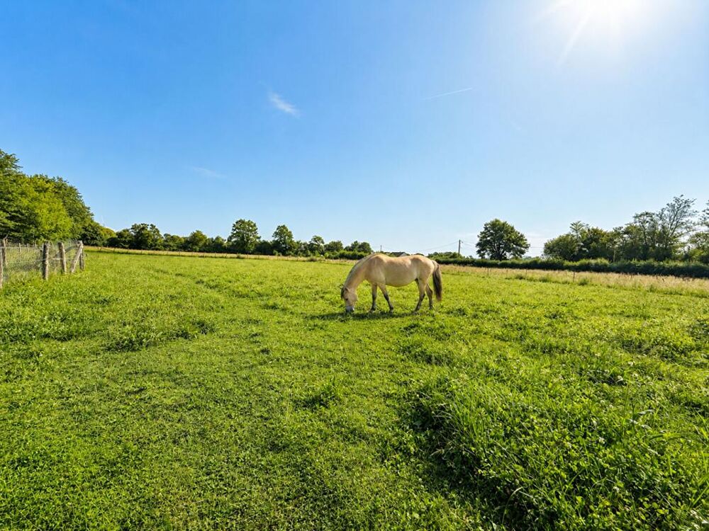 Maison rénovée sur 2 ha avec box chevaux - Secteur Mamers