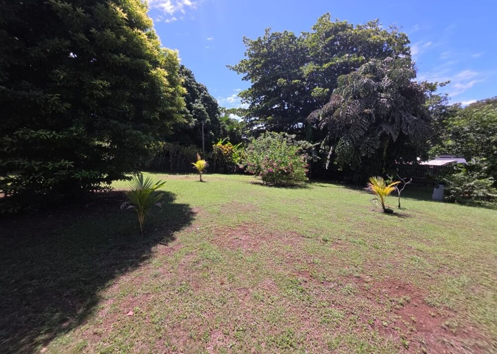 Vente Maison Très belle propriété VUE MER avec dépendances et piscine PETIT BOURG (971) Petit bourg